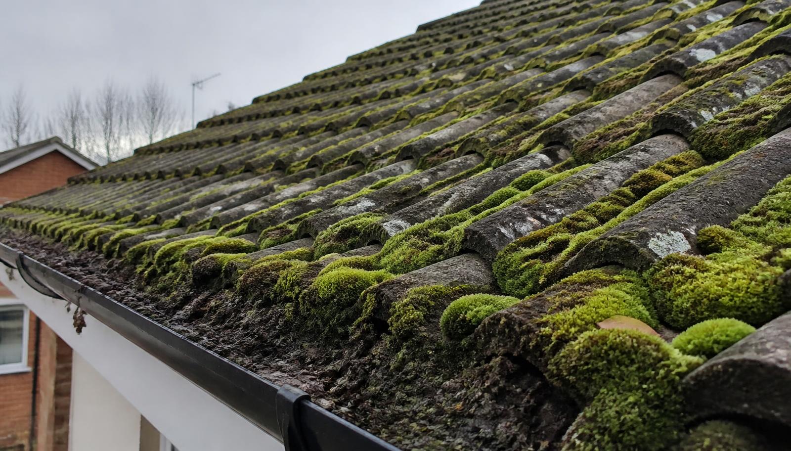 Heavy moss growth across concrete interlocking tiles on a damp British pitched roof, with debris in the gutter.